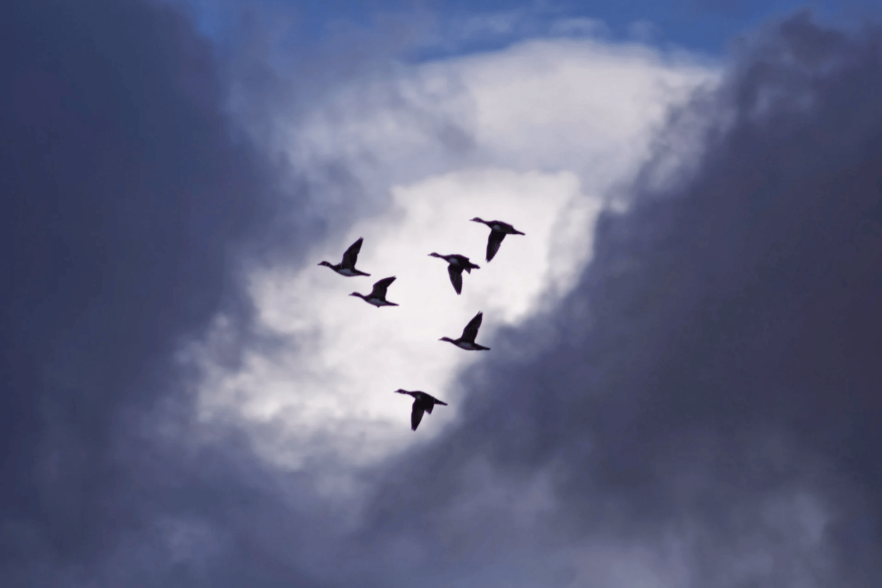 AND Digital acquires AWS Migration competency (1)