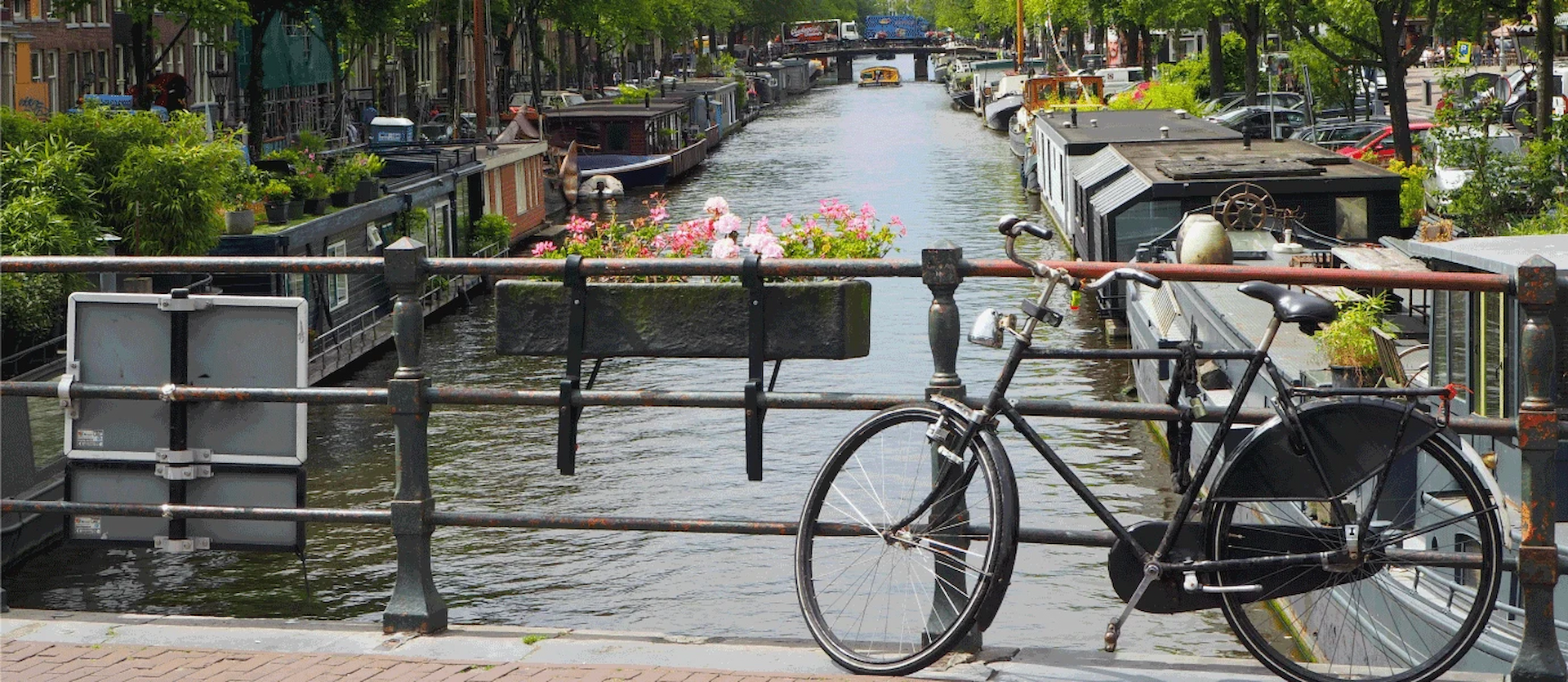 AND Digital needs Dutch masters to close Netherlands’ digital skills gap (1)