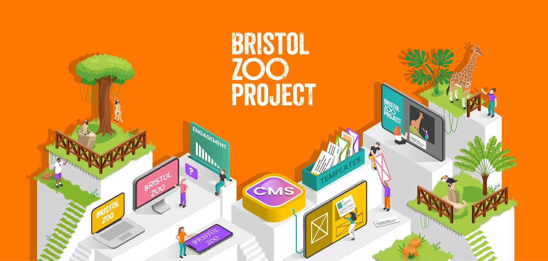 Bristol Zoo_case study illustration_hero large