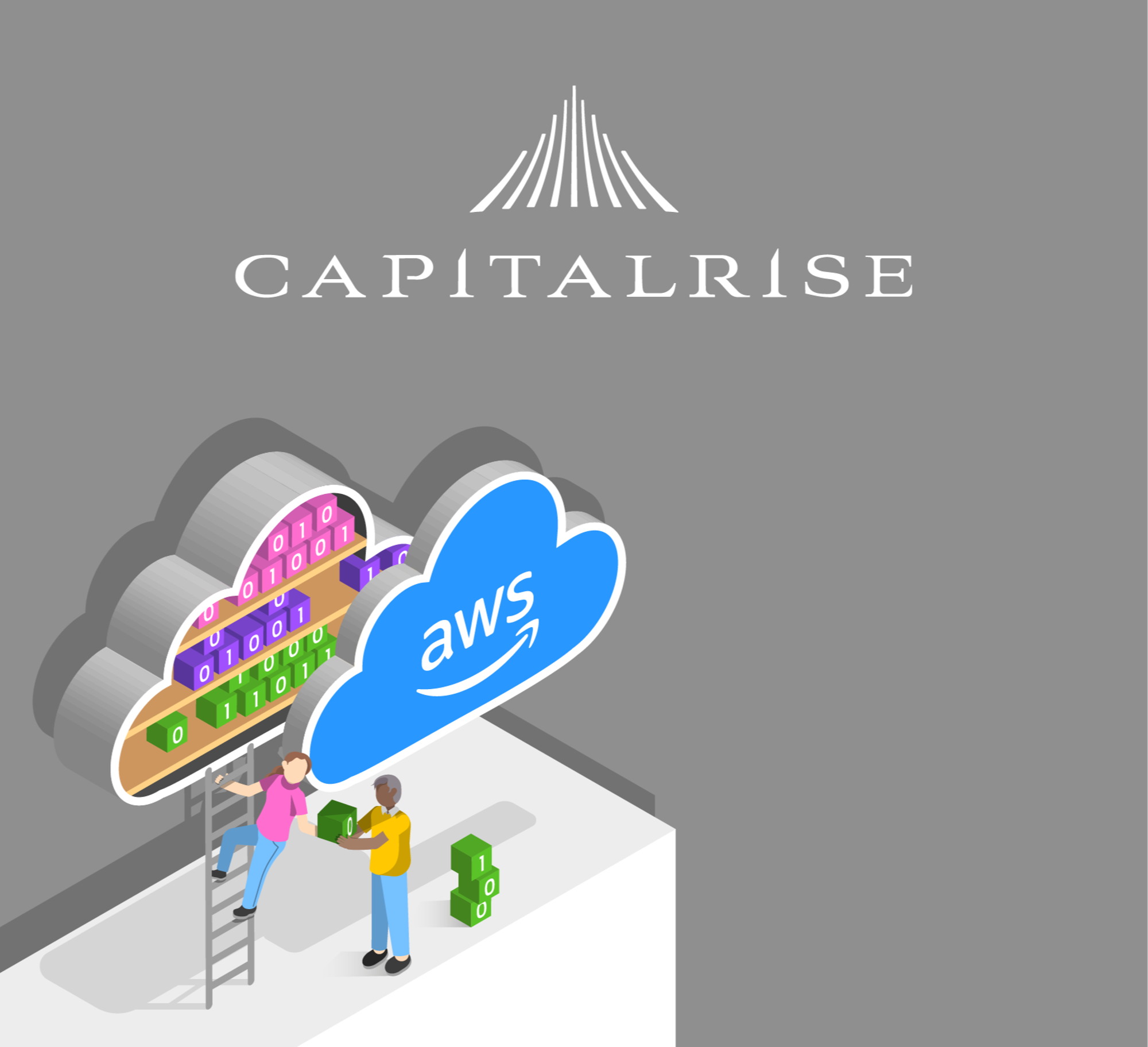 Capitalrise_hero illustration_card-1-1-1