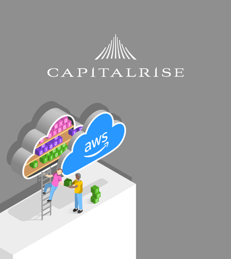 Capitalrise_hero illustration_card
