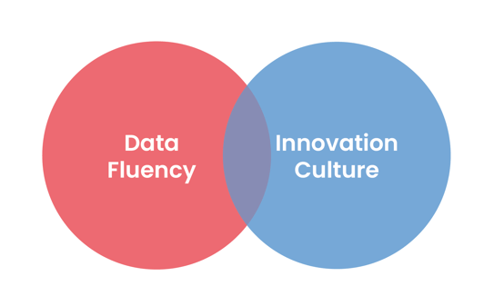 Data Fluency_Innovation Culture_Diagram