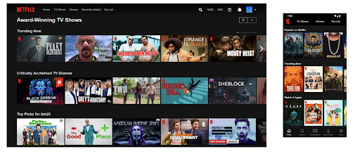 Netflix interface