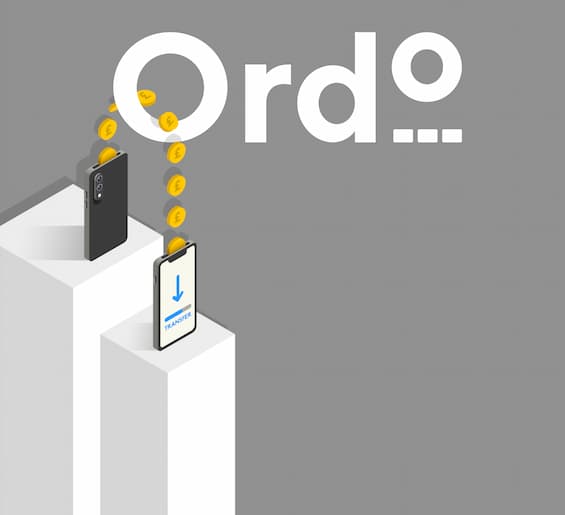 Ordo_illustration-03