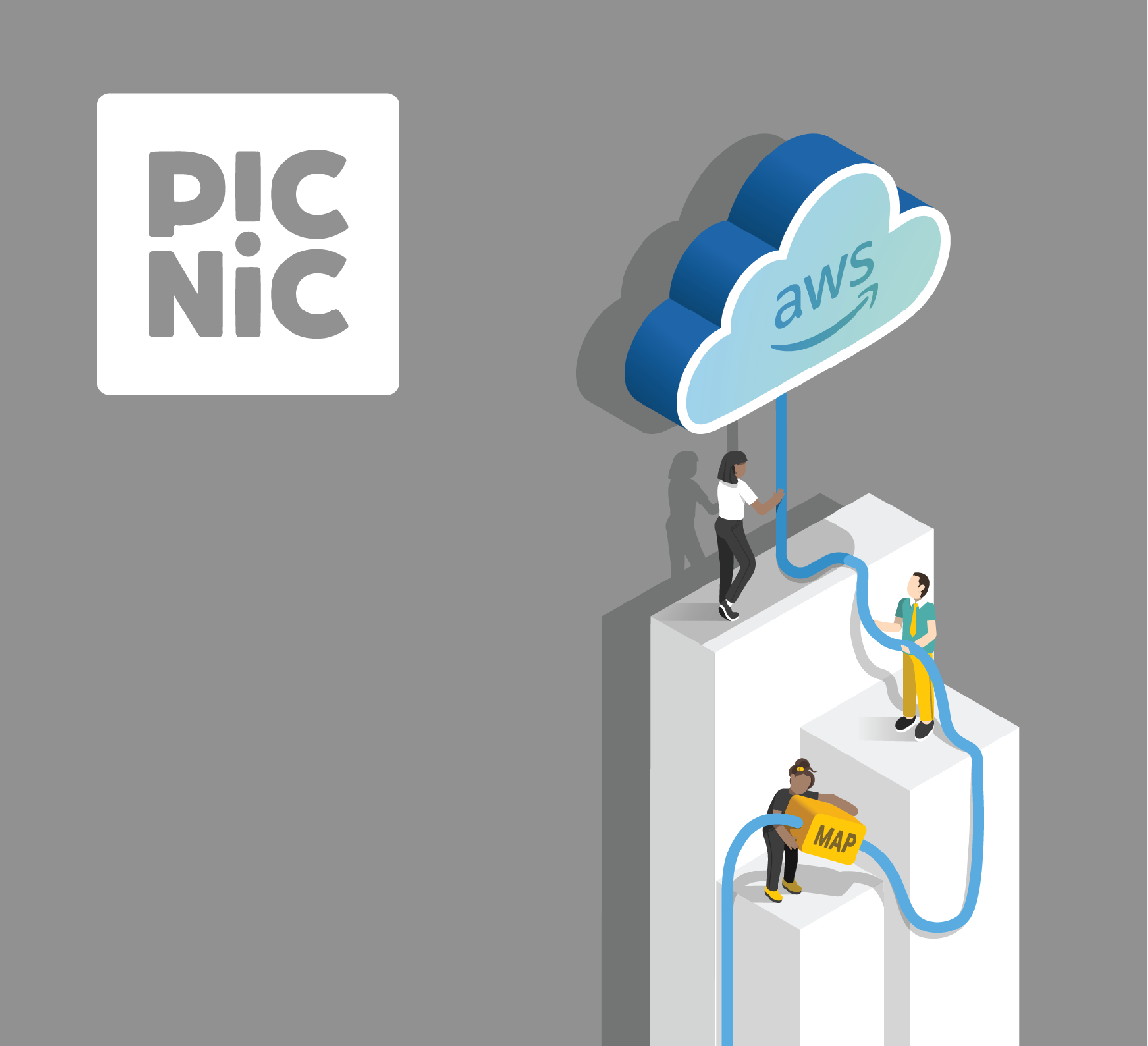 picnic-case-study