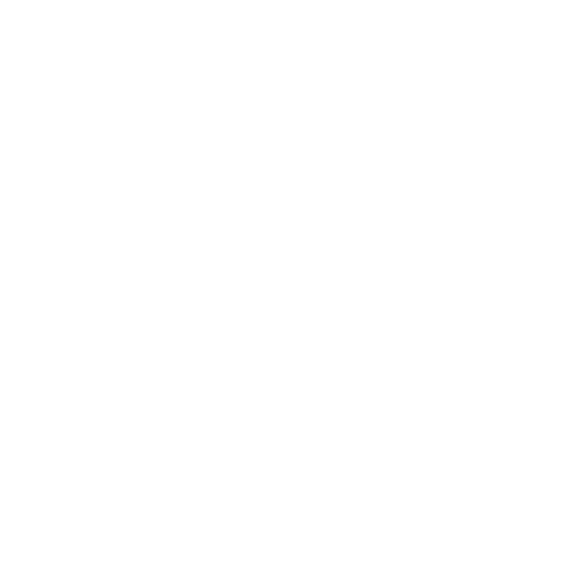 DSF logo 1
