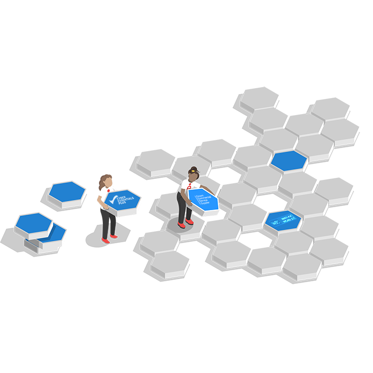 Public Sector ecosystem